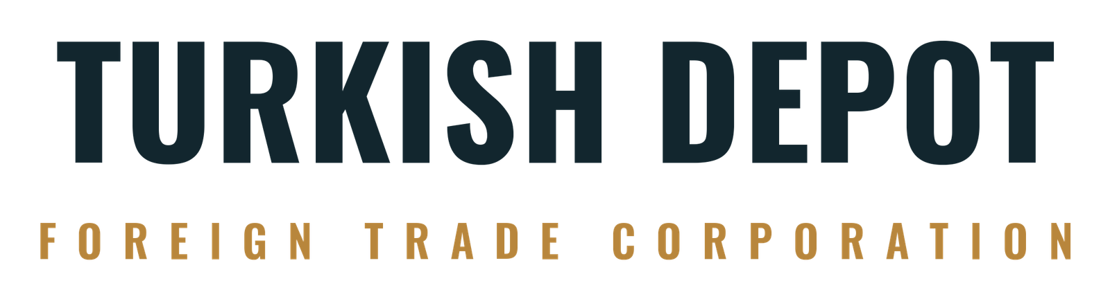 cropped turkish depot logo hires.png